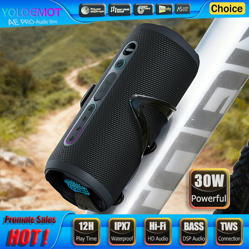 30 W tragbarer Bluetooth-Lauts – Portable Bluetooth Speaker Waterproof Ipx7 Bewertung und Preis
